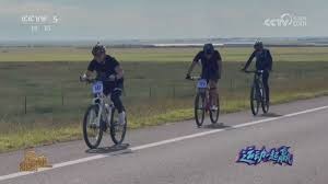 洋基伤兵潮影响季后赛布局