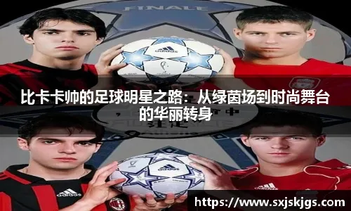 为什么概率思维更稳（稳健之道：概率思维）