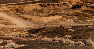 融入很快！广厦新双外援桑普森&塔克合砍44分16板5助攻